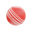 cricket-ball icon